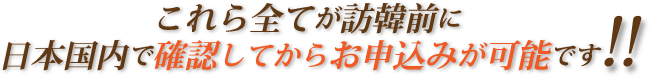 これら全てが訪韓前に日本国内で確認してからお申込みが可能です