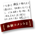 体験コメント