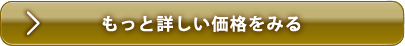 もっと詳しい価格をみる