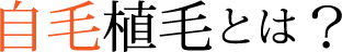 自毛植毛とは?